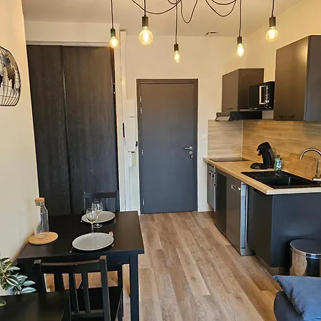公寓 Au 3 Rue Manhes 阿尔比